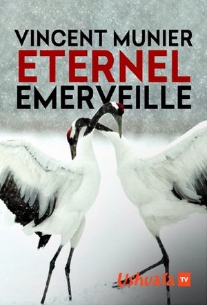 Poster Vincent Munier, éternel émerveillé (2019)