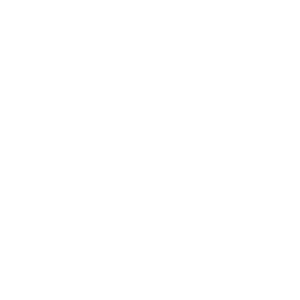Bruce Lee, the Legend