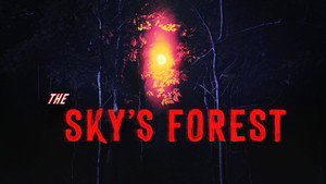 The Sky's Forest 1