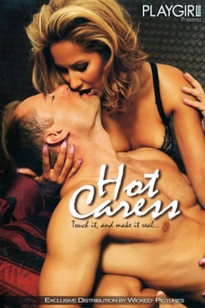 Poster Playgirl: Hot Caress (2006)