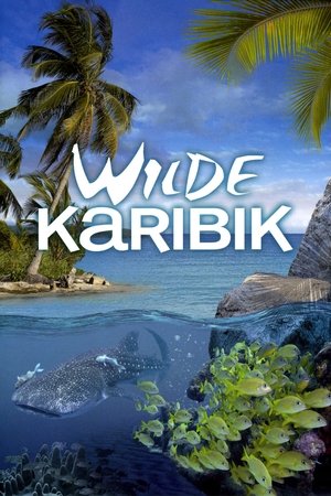 Image BBC Wilde Karibik