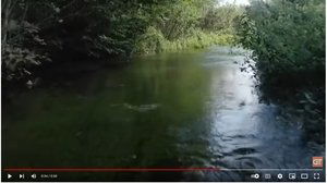 River Derwent