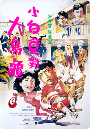 Poster 过埠新娘 1988