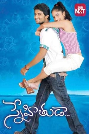 Poster Snehituda (2009)