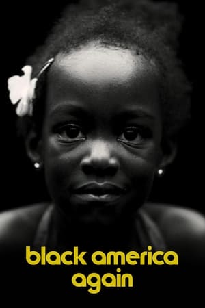 Poster Black America Again (2016)