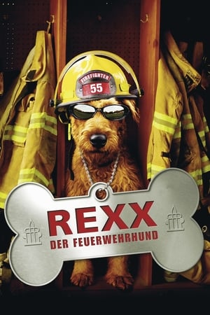 Image Rexx, der Feuerwehrhund