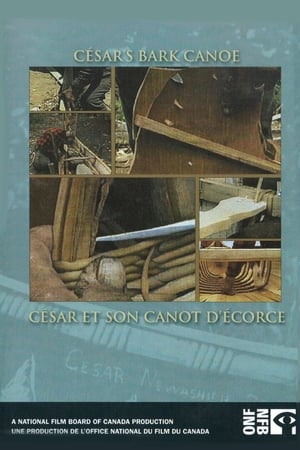 Image César et son canot d'écorce
