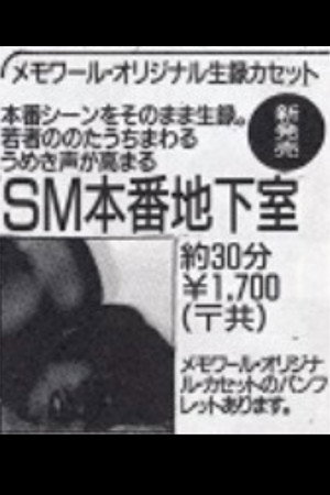 SM本番地下室