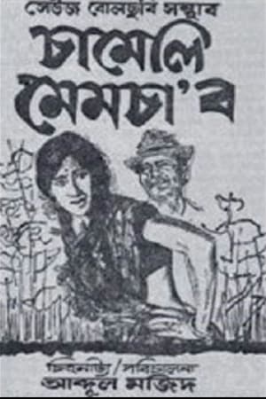 Poster Chameli Memsaab 1975