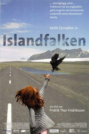 Image Islandfalken