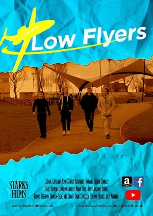 Poster Low Flyers (2019)