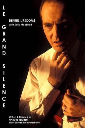 Poster Le Grand Silence (1977)