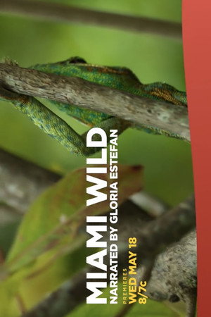 Miami Wild 5