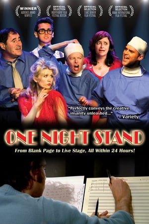 Poster One Night Stand 2013