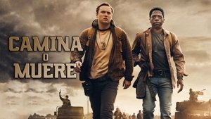 Images posters