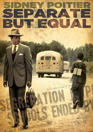 Poster Separate But Equal (1991)