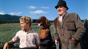 Mein Freund Red (1962)