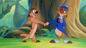 Timon & Pumbaa Tanzania Zany