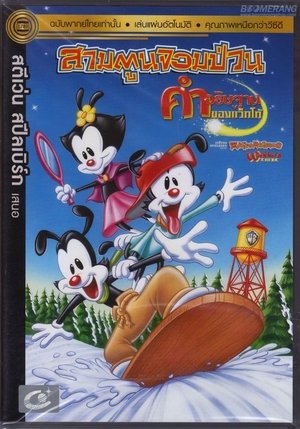 Image Animaniacs: Wakko's Wish