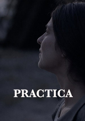 Practica