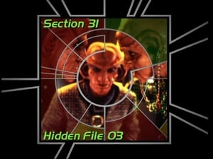 Image Section 31: Hidden File 03 (S03)