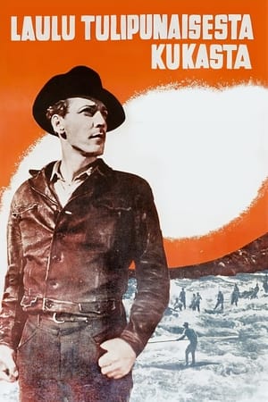 Poster Laulu tulipunaisesta kukasta 1938
