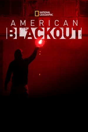 Poster American Blackout (2013)