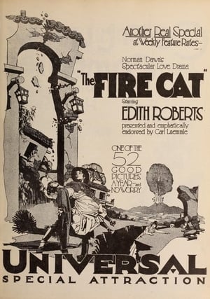 Poster The Fire Cat 1921
