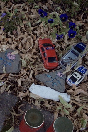 No Mother Tongue for Everyone (2026)