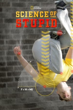 Poster Science of Stupid 2014