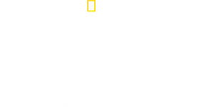 Bloody Tales of the Tower
