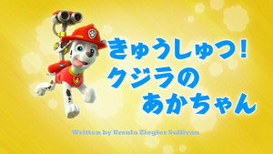きゅうしゅつ！クジラのあかちゃん
