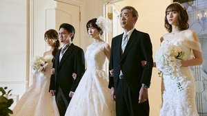 Harem Marriage Season 1 Episode 2