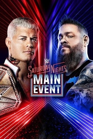 Image WWE 周六夜主战赛 37
