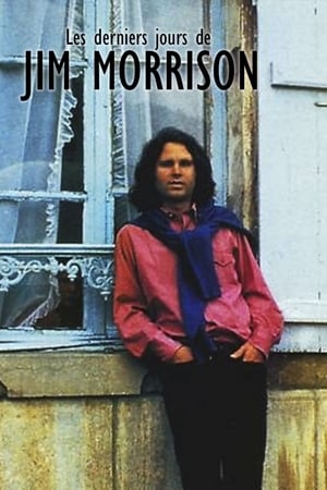 Poster Les derniers jours de Jim Morrison 2006