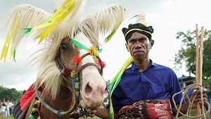 Marapu