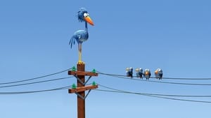 Drôles d’oiseaux sur une ligne à haute tension
