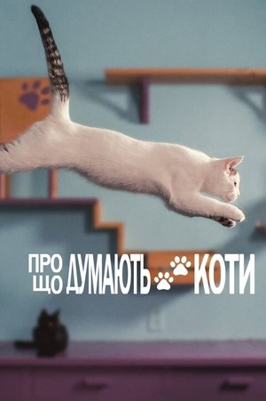 Image Про що думають коти