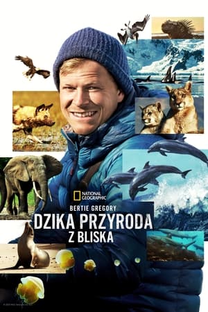 Image Bertie Gregory: Dzika przyroda z bliska