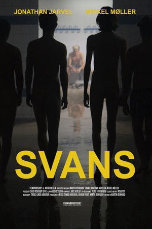 Swans 9