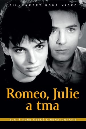 Poster Romeo, Julie a tma 1960