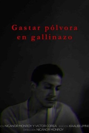 Gastar pólvora en gallinazos