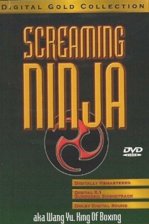 Screaming Ninja poster