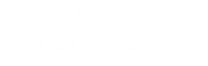 Odznak Vysočina — Logos 2