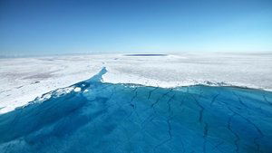 Frozen Planet: 1×7