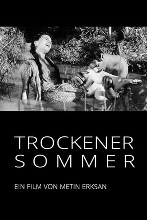 Poster Trockener Sommer 1963