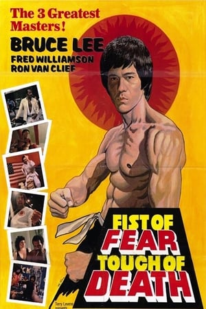 Poster di Fist of Fear, Touch of Death
