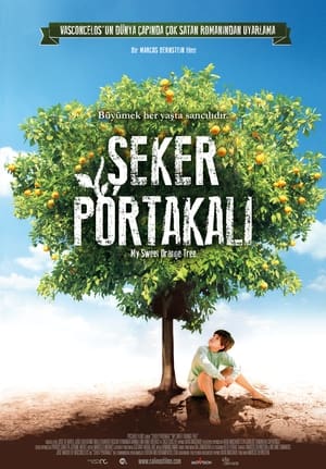 Image Şeker Portakalı