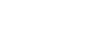 Star Wars: O Despertar da Força — Logos 9