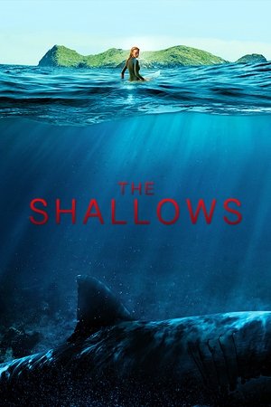 Instinct de survie - The Shallows